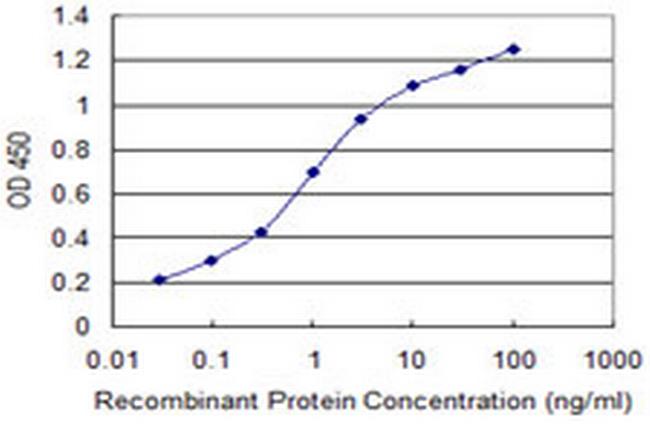 RABGAP1 Antibody in ELISA (ELISA)