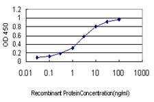 KCNE4 Antibody in ELISA (ELISA)