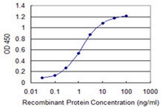 SIN3A Antibody in ELISA (ELISA)