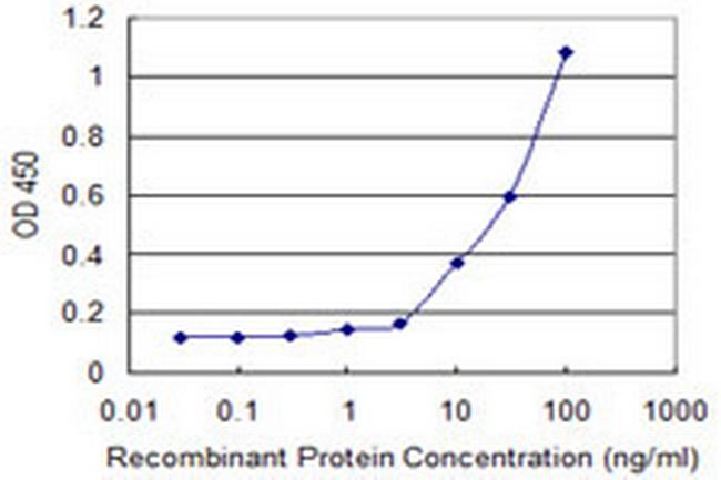 KLK13 Antibody in ELISA (ELISA)