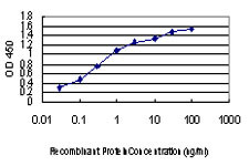 FGF21 Antibody in ELISA (ELISA)