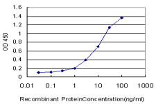 FGF21 Antibody in ELISA (ELISA)