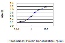 FGF21 Antibody in ELISA (ELISA)