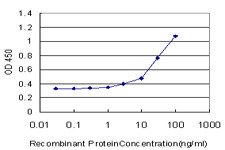 FGF21 Antibody in ELISA (ELISA)