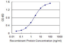 AATF Antibody in ELISA (ELISA)