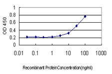 GREM1 Antibody in ELISA (ELISA)