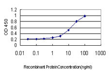 GREM1 Antibody in ELISA (ELISA)