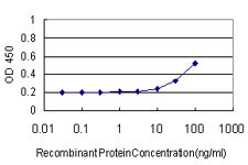 HAVCR1 Antibody in ELISA (ELISA)