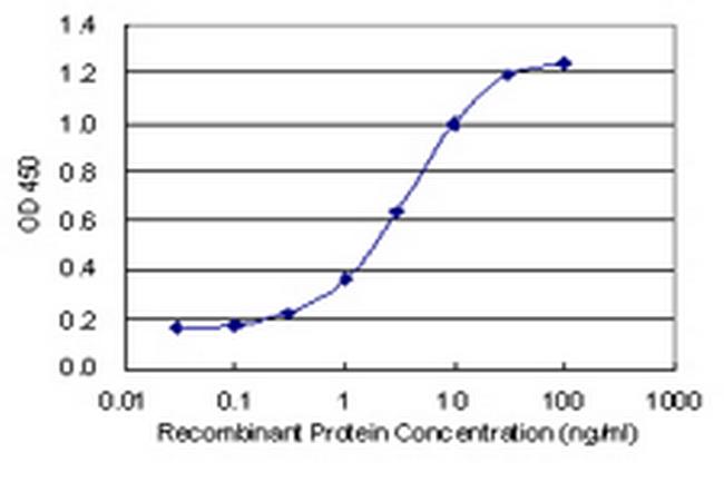 HSPB7 Antibody in ELISA (ELISA)