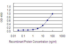 EIF2C2 Antibody in ELISA (ELISA)