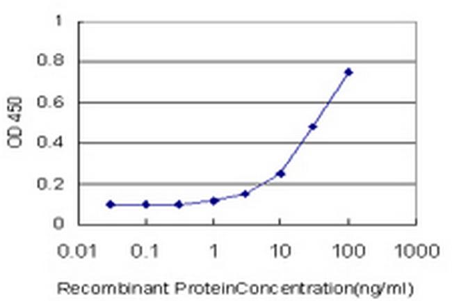 SIGLEC8 Antibody in ELISA (ELISA)