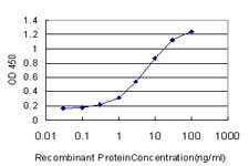 ADAMDEC1 Antibody in ELISA (ELISA)