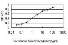 HTRA2 Antibody in ELISA (ELISA)