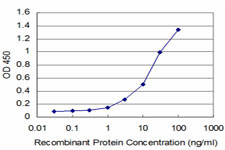 DLL1 Antibody in ELISA (ELISA)