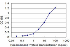 UHRF1 Antibody in ELISA (ELISA)