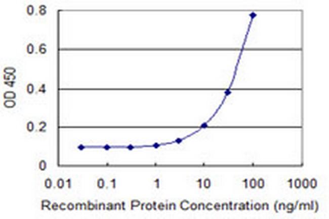 TBX21 Antibody in ELISA (ELISA)