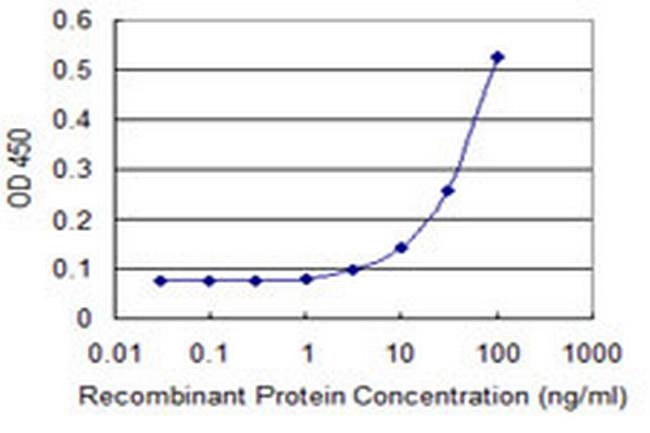 TBX21 Antibody in ELISA (ELISA)