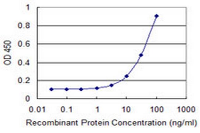 TBX21 Antibody in ELISA (ELISA)