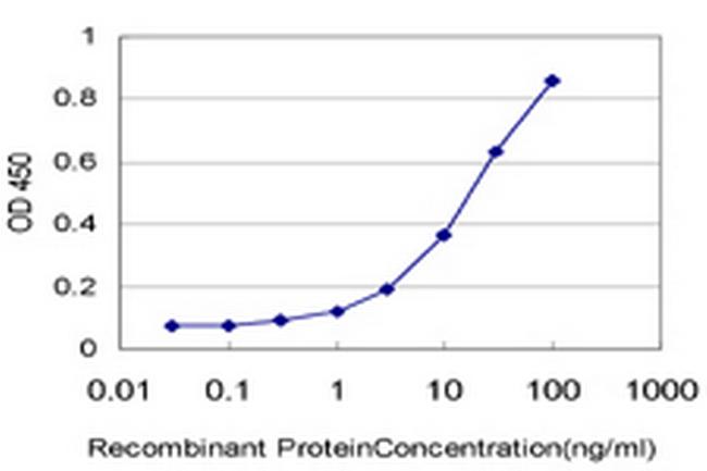 HUNK Antibody in ELISA (ELISA)