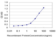 HUNK Antibody in ELISA (ELISA)