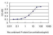 PIK3R4 Antibody in ELISA (ELISA)