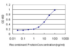 PIK3R4 Antibody in ELISA (ELISA)