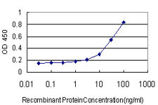 ABHD5 Antibody in ELISA (ELISA)