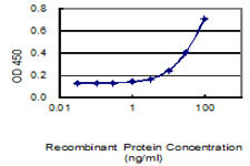 ANGPTL4 Antibody in ELISA (ELISA)