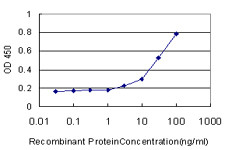 EGFL7 Antibody in ELISA (ELISA)