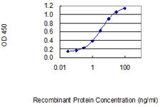 IL23A Antibody in ELISA (ELISA)