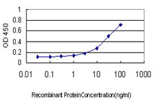 GHRL Antibody in ELISA (ELISA)