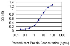 CRKRS Antibody in ELISA (ELISA)