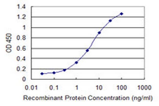 RAB8B Antibody in ELISA (ELISA)