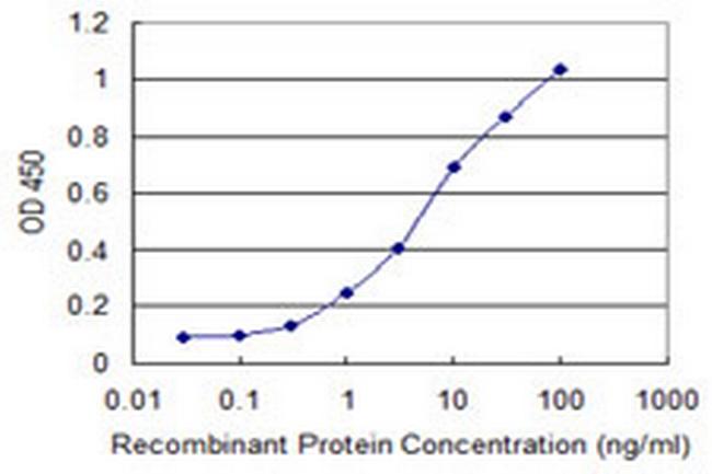 UBASH3A Antibody in ELISA (ELISA)