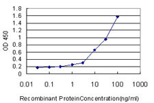 TLR9 Antibody in ELISA (ELISA)