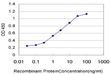 TREM1 Antibody in ELISA (ELISA)