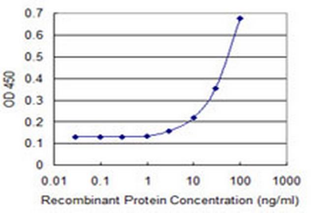 UGT1A3 Antibody in ELISA (ELISA)