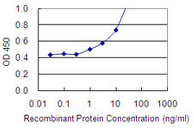 PCLKC Antibody in ELISA (ELISA)