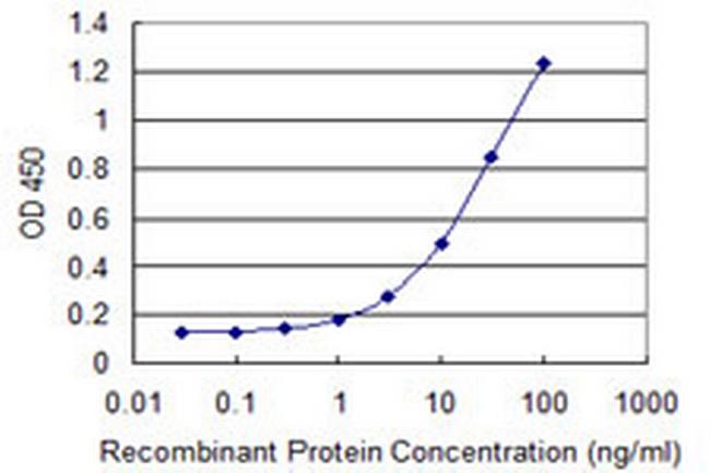 DPP8 Antibody in ELISA (ELISA)