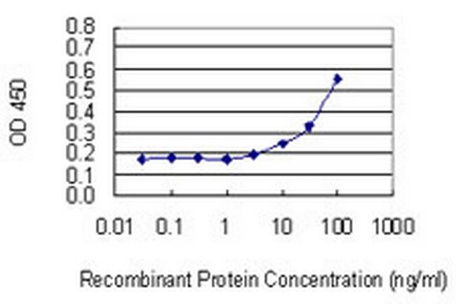 VNN3 Antibody in ELISA (ELISA)