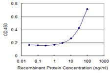 PSARL Antibody in ELISA (ELISA)