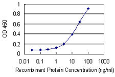 MFN1 Antibody in ELISA (ELISA)