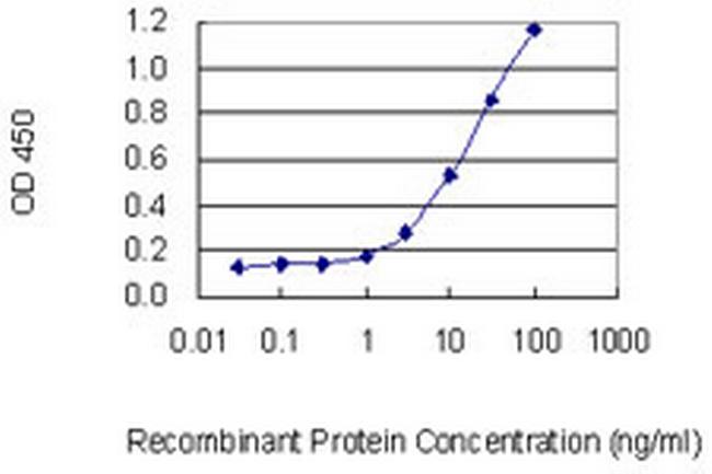 IL26 Antibody in ELISA (ELISA)