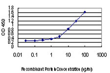 RAD18 Antibody in ELISA (ELISA)