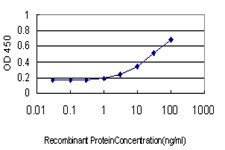 C1GALT1 Antibody in ELISA (ELISA)