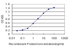 SMURF1 Antibody in ELISA (ELISA)