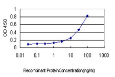 SALL4 Antibody in ELISA (ELISA)