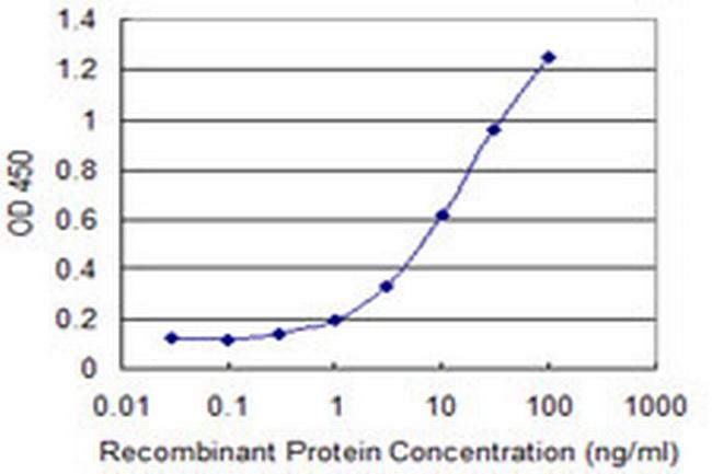 RAB22A Antibody in ELISA (ELISA)