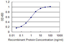 SRGAP1 Antibody in ELISA (ELISA)