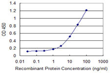 SEMA6A Antibody in ELISA (ELISA)